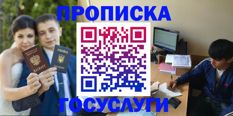 временная регистрация в Судогде